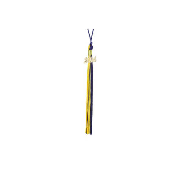 Graduation Tassel with 1996 Year Charm (Purple and Gold)