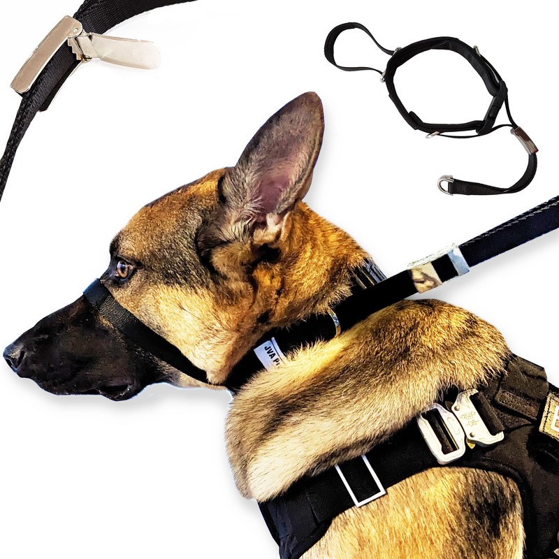 PetsProMax No-Pull Dog Headcollar for Large Dogs (Agressive/Reactive Dogs; Instant