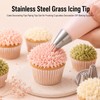 HJZHII 5 Pcs Grass Piping Tip, Stainless Stee Grass Icing