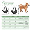 Pet Cat Dog Sling Carrier Bag – Breathable Mesh Crossbody