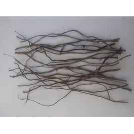 Dried Corkscrew Willow Branch Ends, 10"-14" length, for Crafts and Arrangements