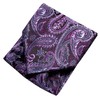 Hi-Tie Silk Ascot for Men Self Tie Men's Cravat and