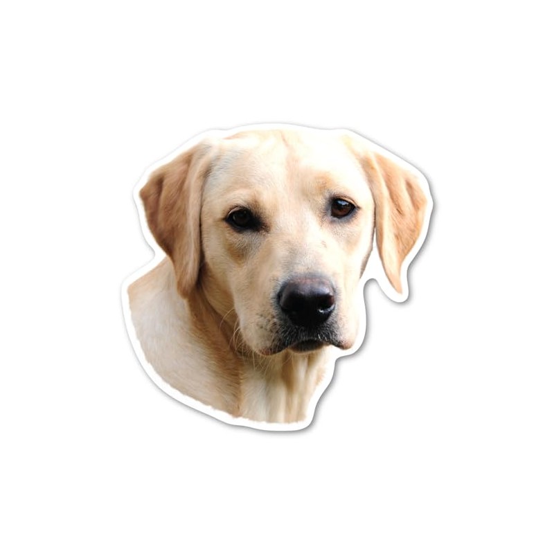 (Yellow) Labrador Retriever Dog Magnet by Magnet America is 4.875"