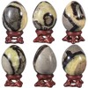 TUMBEELLUWA Natural Septarian Dragon Stone Egg with Display Stand, Polished