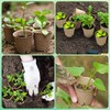 120 Pack Peat Pots Plant Starters for Seedling Seed Starter