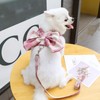 UETZLTB Cute Dog Harness and Leash Set with Bow Tie