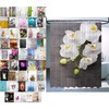 Sanilo, Shower Curtain, Many Beautiful Shower Curtains to Choose from,