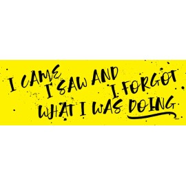 I Came, I Saw and I Forgot what I was Doing., Vinyl Bumper Sticker M204