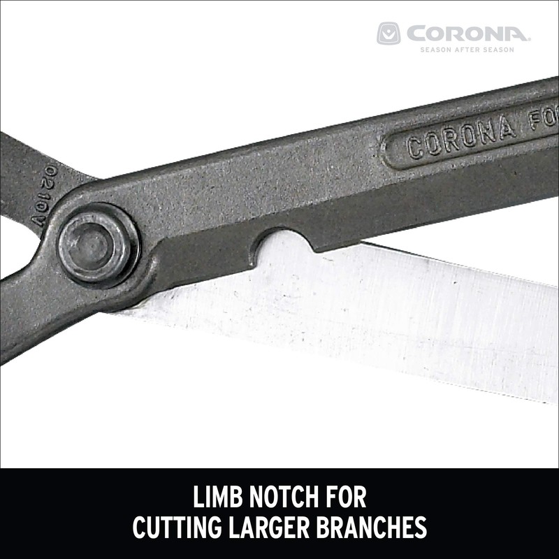 Corona HS 3911 Forged Hedge Shear, 8-1/4-Inch Blade, Nuetral