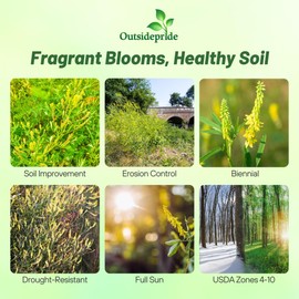 Outsidepride Yellow Sweet Clover Seed - 5 lbs Biennial, Drought-Tolerant, Frost-Resistant, Nitrocoated, Inoculated Yellow Clover Seeds Cover Crop for Forage, Honey Production, & Pollinators