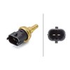 HELLA 6PT 009 107-811 Sensor, coolant temperature - 2-pin connector