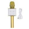 Wireless Microphone System Bluetooth Home Rechargeable Handheld Portable KTV Karaoke