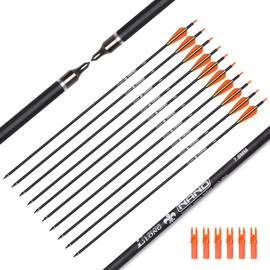 Hunter Ian Archery Carbon Arrow Hunting Arrows 28 Inch with 100 Grian Removable Tips for Compound Bow & Recurve Bow Practice Shooting (Pack of 12)