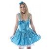 Blue Princess Costume, Cinderella