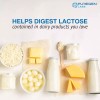 Puregen Dairy Rescue Fast Acting Lactase Enzyme 9000 FCC 360