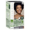 Clairol Natural Instincts Semi-Permanent Hair Color, 2 Black, Ammonia Free,