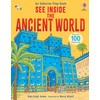 See Inside Ancient World