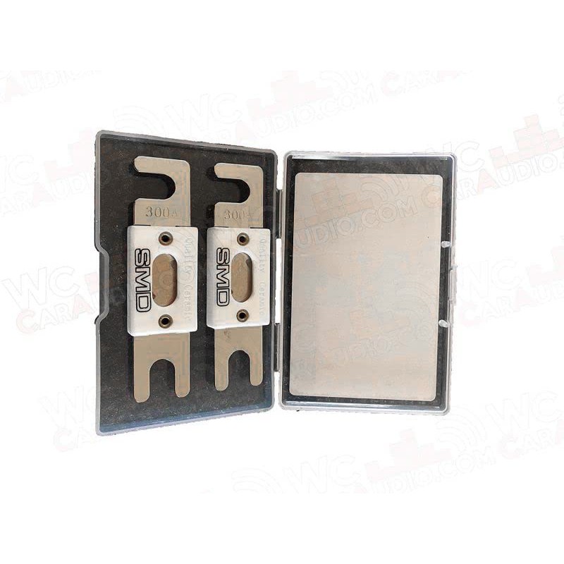 Ceramic SMD ANL Fuses (2 Pack) (100a)