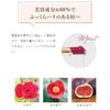Additive-Free Lipstick Coyori Brightening Rouge | Coyori (Koyori) 99% Natural