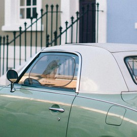 Mr. & Mrs. Panda Car Sun Shade Bear Guitar Gift Teddy Bear Sun Protection Film Sun Visor Teddy Sun Protection Car Window Sun Protection