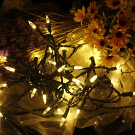 MULTI-SPARKING Christmas Lights (33 Feet, 100 Count) - Green Wire Warm White Christmas Tree Lights, Mini LED Holiday String Light Set for Trees, Indoor and Outdoor Decorations