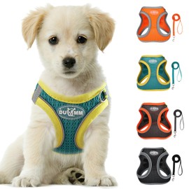 LOS ANDES Dog Harness Small Dogs, Chest Harness with Lead, Reflective Soft Padded Cat Harness, Air Mesh Dog Harness for Puppies, Small Dogs, Cats