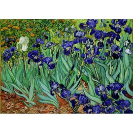 CafePress Van Gogh Irises, St. Remy Large Zipper Toiletry Pouch, 12.5" x 8.5"