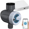 Royal Gardineer WLAN Valve: Smart Programmable Irrigation Computer with WiFi