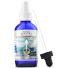 Colloidal Silver Liquid Spray | 10 PPM Ionic Silver |