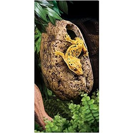 Exo Terra Hiding Cave