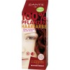 SANTE Naturkosmetik Pflanzen-Haarfarbe Pulver Mahagonirot, Hennapulver, 100 g