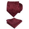 Alizeal Men's Classic Paisley Tie with Pocket Square Set, 174-Dark
