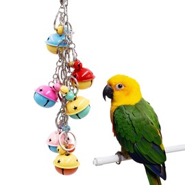 Dnoifne Bird Swing Bell Toys – Colourful Metal Bells for Parrots | Hanging Chew Toys & Cage Accessories for Small to Medium Birds like Budgies, Lovebirds, Conures, Parakeets, Cockatiels & Rats