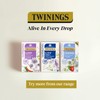 Twinings Superblends Calm Tea - Spiced Camomile, Vanilla & Roasted