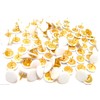 White Drawing Pins Brass White Headed Drawing Pins Thumb Tacks