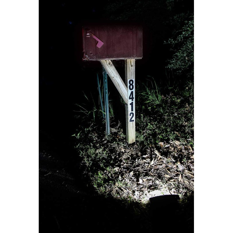 Maxsa 40330 80LM 12 LED Solar-Powered Dusk to Dawn Outdoor