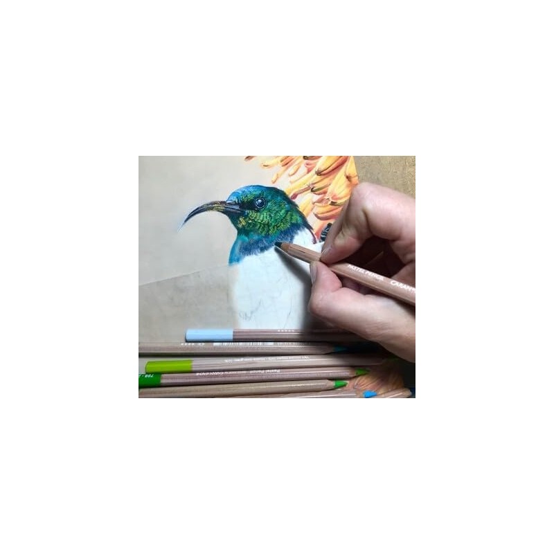 Caran D'ache Pastel Pencils - French Grey 10% (788.802) by