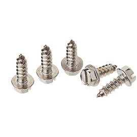 Speedy Bolts Stainless Steel License Plate Screws Pack of 4 Plus 1 Spare