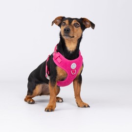 HUGO & HUDSON Tweed Dog Harness Adjustable Soft Padded No Pull Pet Vest with 2 Leads Clips, Pink, L