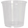 Clear orchid pot clear