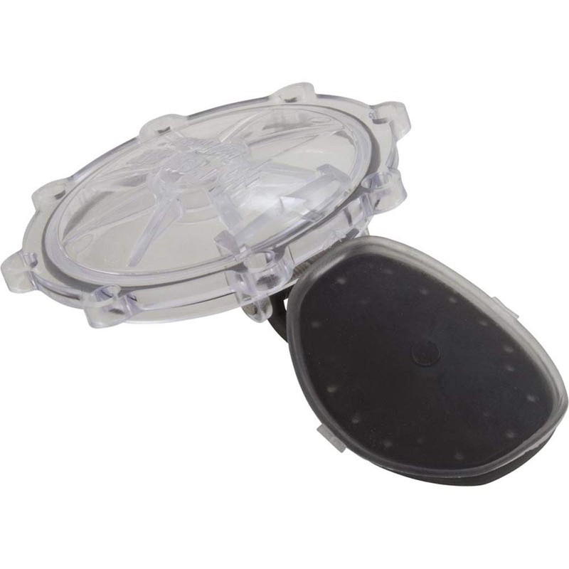 Pentair 263042Z 2-Inch 2-Way CPVC Check Valve Replacement Kit Diverter