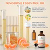 EVOKE OCCU Tangerine Essential Oil for Diffuser Fragrance DIY Candle