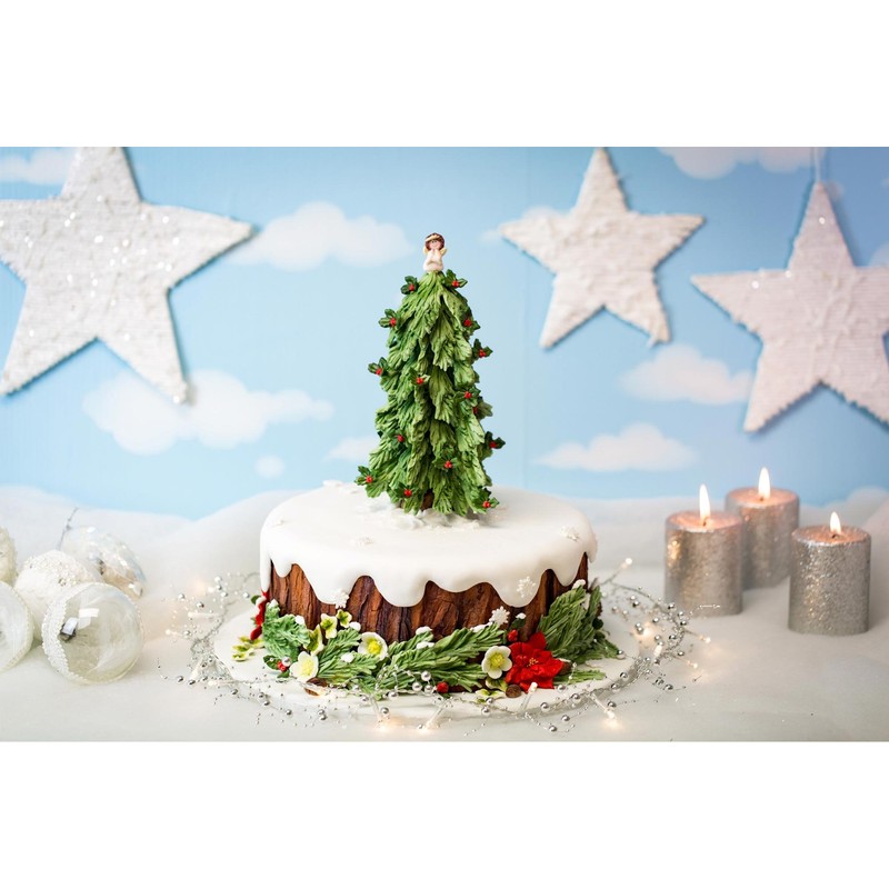 Christmas Tree Mould By Karen Davies