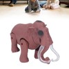 Electric Animal Toys with Sounds and Lights Safe Funny Interactive
