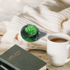 YWHL 55th Wedding Anniversary Decoration, Emerald Wedding Gifts for Parents,