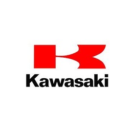 Kawasaki 11013-7046 - Prefiltro para Motor Premium, 1 Unidad (Paquete de 1)
