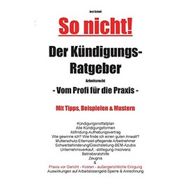 So nicht! Der Kündigungs-Ratgeber Arbeitsrecht: Vom Profi für die Praxis