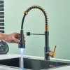 MVMHOME Black and Gold LED Kitchen Faucet with Pull Down