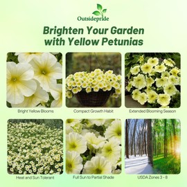 Outsidepride Yellow Petunia Grandiflora Seeds - 500 Pcs. Annual, Compact & Versatile Flower Seeds for Planting Low Growing Vibrant Blooms for Garden Beds, Hanging Baskets & Container Displays