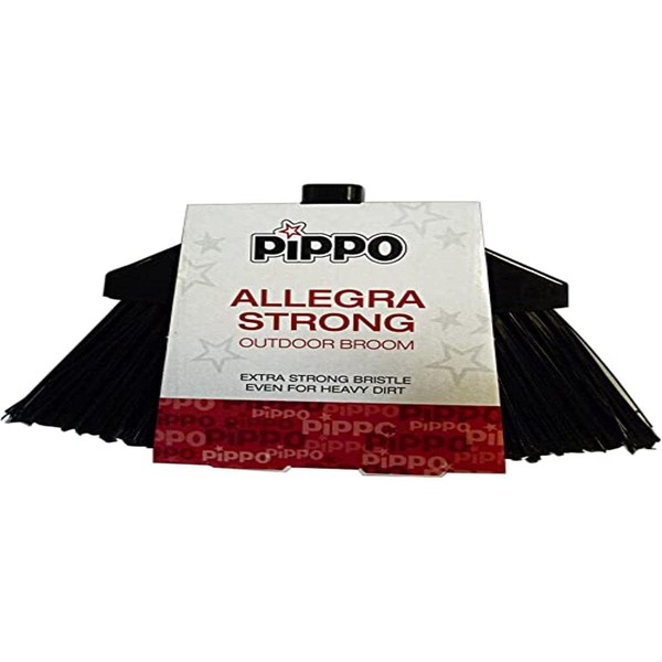 Pippo P020287 Scopa Allegra Alta Strong, Multicolore